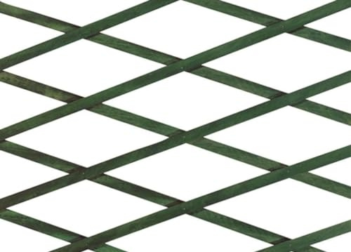 BIANCHERIAWEB Treillis Extensible en Bois pour Plantes Grimpantes Clôture de Jardin Balcon 100x300 Vert