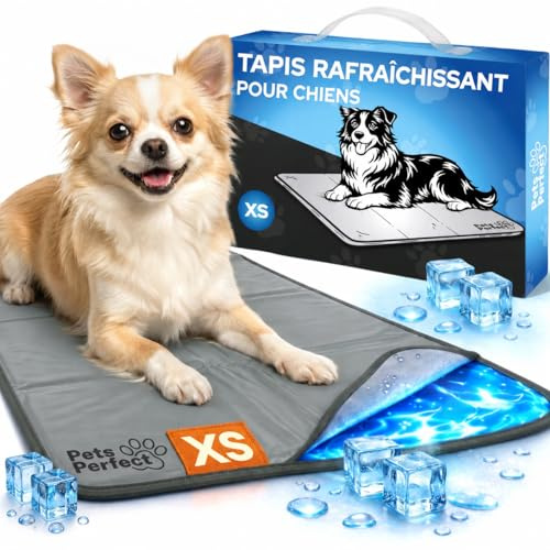 Pets Perfect Tapis rafraichissant Chien Auto refroidissant - Cooling Mat Dog avec Gel Non Toxique - Tapis de Refroidissement pour Chien XL XXL et Cooling Pad Cat Pliable