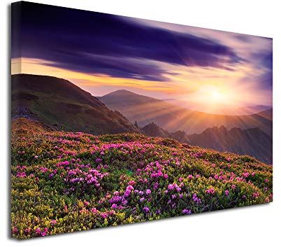 Declina Großformat, Kunstdruck auf Leinwand, Dekoration für Wohnzimmer, modernes Leinwand, Fototapel, Landschaft, Berge, Blumen, 50 x 30 cm, Leinen, 120x80 cm