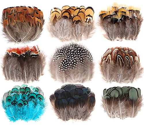 MWOOT 180 Stück Basteln Federn zum Ostern Deko, 9-Arten Ostereier Deko Bastelfedern, Natur Verzierungsfedern für Traumfänger Ohrringe Karneval Faschingskostüm Osterkranz Verzieren