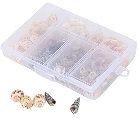 Jenngaoo Mini Conchas de Mar Minúsculas, Conchas de Caracol de Playa Mixtas Conchas Marinas para Manualidades de Joyería, Concha de Bricolaje, Decoración de Boda para el Hogar, Adorno