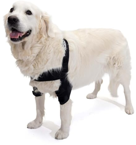 Ortocanis Ellenbogenorthese für Hunde mit Ellenbogenarthrose - Größe S - Hygromen oder Schulterluxation.
