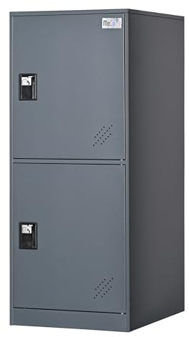 MECOLOR Petit casier Vertical avec Cadenas, Petit casier pour la Maison, casier de Gym, Armoire de Rangement pour Bureau, casier de Rangement à 2 ou 3 Niveaux (Gris, P2V)