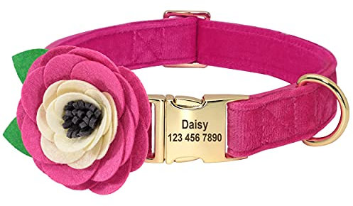 Beirui Weiches Samt-Hundehalsband mit abnehmbarem Blumen-Zubehör – personalisiertes, süßes Hundehalsband mit Namensschild – Bezauberndes Halsband für kleine, mittelgroße und große Hunde (Hot Pink, M)