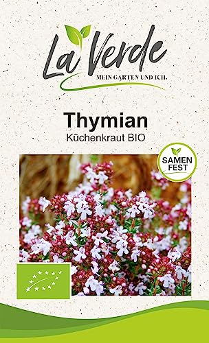 Thymian BIO Kräutersamen