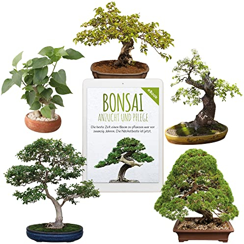 Einzigartige Bonsai Samen mit hoher Keimrate - Pflanzen Samen Set für deinen eigenen Bonsai Baum (5er Set inkl. GRATIS eBook)
