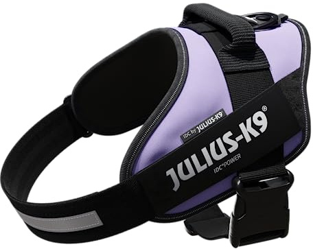 JULIUS K-9 IDC Powergeschirr, Größe: L / 1, Lila, 16IDC-PR-1