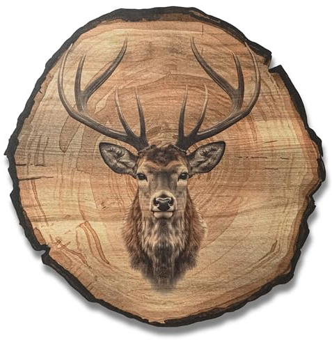 DARO Design - Wandbild Hirsch Größe 45cm - Kunstdruck aufhängefertig - Wanddekoration Thema Jagd, Natur, Tiere