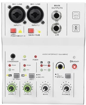 Mixer Audio, Q12M Professional 2 Canali Mixer Audio Interfaccia Scheda Console Mini USB Registrazione MIXER For DJ Studio Chitarra per streaming live, podcasting, PC(White)
