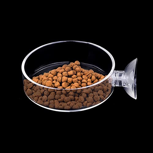 WEAVERBIRD Aquarium Garnelen Fütterung Futternapf 60mm Schüssel Feeder Futterschale Futterschüssel