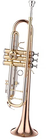 Messing Trompeten Phosphor-Messing-Trompete B-Trompete Lack-Goldmessing-Instrument Für Anfänger (Color : 2)