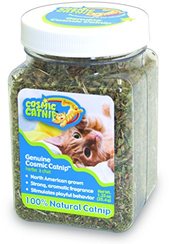 OurPet's Premium Catnip - 1.25 oz Jar of High Potency Catnip - 100% North American Grown