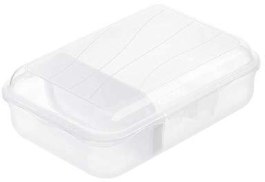 Rotho Fun Vesperdose 0,9l mit herausnehmbarer Trennwand, Kunststoff (PP) BPA-frei, transparent, S/0,9l (17,7 x 12,9 x 6,0 cm)