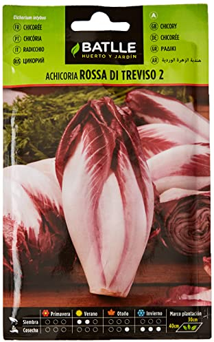 Batlle Gemüsesamen - Chicoree Radicchio Rossa di Treviso (3200 Samen)