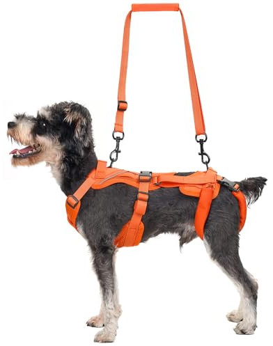 OneTigris Hundegeschirr, Hopper Kleines Unterstützung Geschirr Einstellbares Hebegeschirr mit 2 Griffen für Unterstützung und Rehabilitation Geeignet für Kleiner Hund Orange XS
