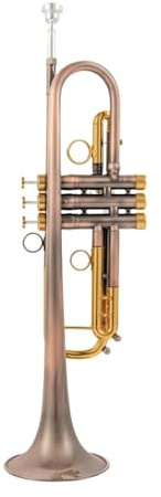 Anfänger Trompete Blechblasinstrument B-Trompete Professionelle Instrumentenpraxis