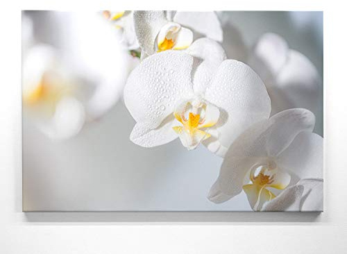 BilderKing Orchideebild im Groß-Format 120x80cm, Orchidee weiß - als großes XXL Leinwandbild. Wandbild als Hintergrund und Deko für Wohnzimmer & Schlafzimmer. Aufgespannt auf Holzrahmen
