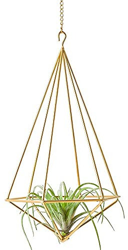 Blumenampel Hängende Luftanlagehalter Moderner geometrischer Pflanzgefäß mit Kette Tillandsia Container Wanddekor, Gold Makramee Blumenampel (Color : Gold)