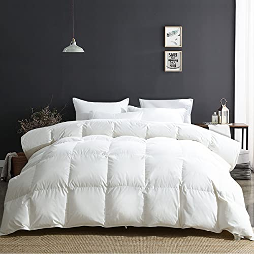 APSMILE Daunendecke 155x220 Winter Extra Warm Bettdecke 100% Baumwolle, Winterdecke mit Premium Gänsedaunen, Flauschige Federbettdecke 380gsm ohne Lebendrupf, Thermische Zertifiziert
