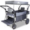TMZ Folding Trolley Portable Push Pull Cart Wagon with Adjustable Handle Bar Handcart with 2 Seats and Canopy Transport Wagon for Beach Garden Camping 265LBS Capacity (Grey/Beige)