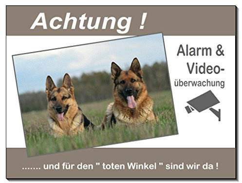 Desi-Schilder Schäferhund-Hund-Aluminium Schild-Video-Alarm-15x10-20x15-30x20 cm-Türschild-Warnschild-Hundeschild (300 x 200 x 3 mm=1451-71, Alu. mit Klebepats)