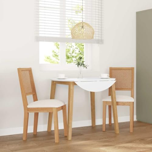 Fasba Esszimmerstühle Küchenstuhl Stuhl Set Stühle Wohnzimmerstuhl Küchenstühle Esszimmerstuhl Essstuhl mit Kissen 2 STK. Massivholz Gummibaum