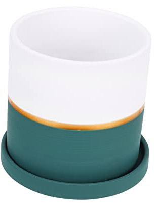 Toddmomy Maceta De Cerámica para Suculentas Diseño Original para Decoración De Interiores
