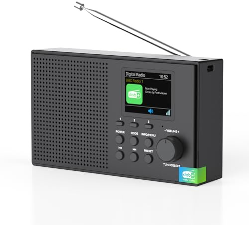 Tragbarer DAB DAB+ Radio mit Bluetooth FM USB/TF Player 2,4 Farbdisplay | 80 Voreinstellungen, 2000mAh Akkubetrieb für 12 Stunden Spielzeit, Unterstützung MicroSD/TF/AUX Anschluss, Alarmfunktionen