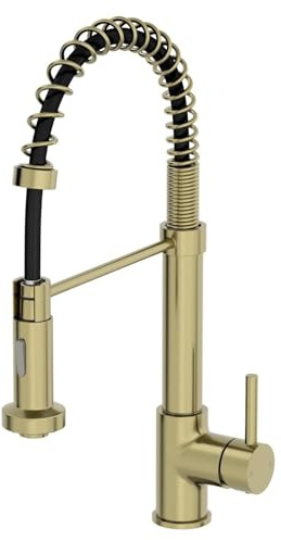 SÄUBER® Carena Kitchen Sink Mixer Tap Pull Out Spray Head Swivel Spout Brass Body Single Lever Handle for Sinks Taps Faucet Modern Round, Brushed Brass