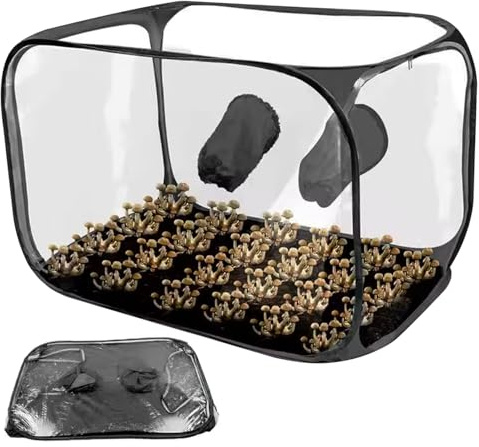 Pilzzucht-Set, 61 x 61 x 89 cm, Kunststoff-Zelt-Set mit 2 Armlöchern, faltbares Stillluft-Pilzzucht- für Pilze und andere Hydrokulturpflanzen, Heimdekoration