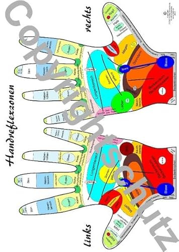 Handreflexzonen Übersichtskarte DIN A4 (Lehrtafeln / Übersichtskarten)