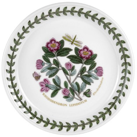 Portmeirion Botanic Garden – 5 plato para pan – Rhododendron