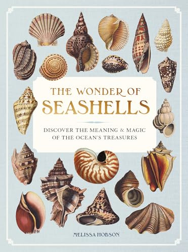 The Wonder of Seashells: Discover the Meaning & Magic of the Ocean’s Treasures (Ocean Wonders)