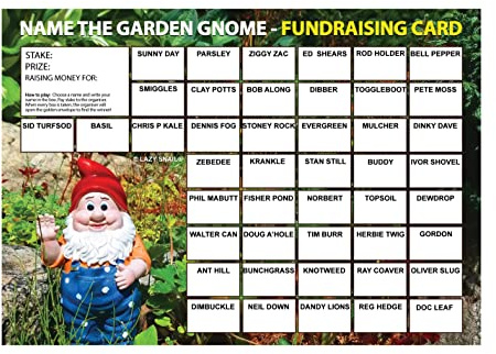 Lazy Snail ‘Name the Garden Gnome’ Fundraising Cards Pack of 8 (A5 Size, 45 Squares per Card) Fun Golden Winner Envelopes Full Colour Charity Fundraising Game for Schools, Clubs & Community Events