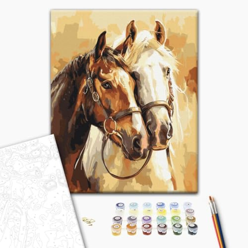 murando - Malen nach Zahlen Zwei Pferde 50x40 cm Malset mit Holzrahmen auf Leinwand für Erwachsene Kinder Gemälde Handgemalt Kit DIY Geschenk Dekoration - Geschenkidee BS54019