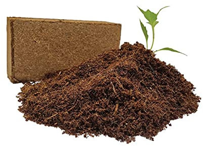 Coir Brick 650g x 1 | Compressed Soil for Gardening | Makes 8-9 Litres of Peat Free Compost | Just Add Water | For Seeds, Cuttings, Indoor and Outdoor Pot Plants and Hydroponic Growing
