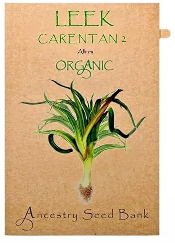 Organic Leek ❁ Carentan 2 ❁ 100 Seeds Heirloom - Non GMO