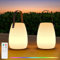 RWWR Lot de 2 Lampe de Table Sans Fil Exterieur 8 Couleurs Dimmable Lampe de Table Rechargeable LED Lampe de Table à Piles avec Remote IP44 pour Camping Jardin Balcon Terrasse (Petit-Cuir Poignée)
