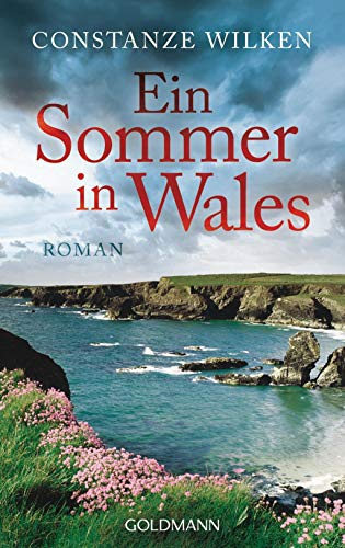 Ein Sommer in Wales: Roman