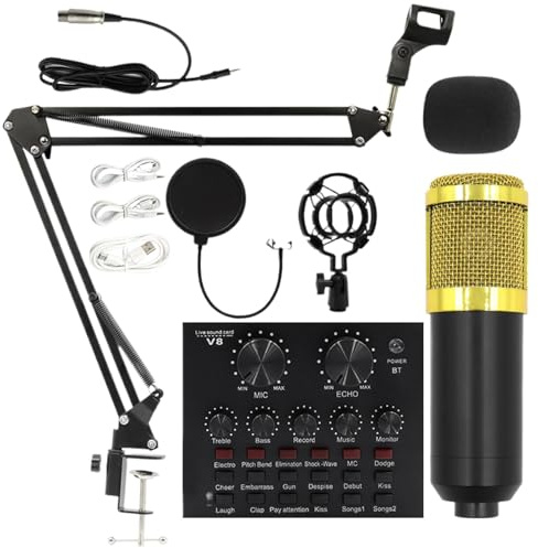 Mikrofonset - Podcast-inspelningsutrustning | Mikrofonpaket för mikrofonpoddsändningar | Överföringssats | Multifunktionsstudioutrustning för sångare, presentatörer och