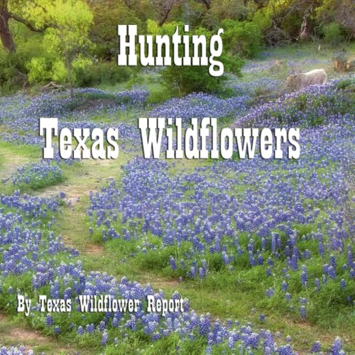 Hunting Texas Wildflowers