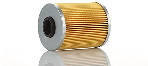 4x PZL Filters Kraftstofffilter WP1013X Cross Reference: P732x F300401 F300401 F300401 (4 pcs.)