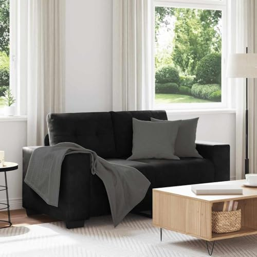Massbinet Polstersofa Fernsehsessel Stoffsofa Sitzmöbel mit Kissen Zweisitzer-Sofa Schwarz 120 cm Samt