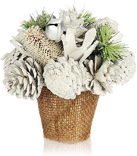 com-four® Composizione natalizia in vaso di fiori - diversi tipi di coni in vaso decorativo di corteccia - composizione floreale fatta a mano (Vaso di fiori XL)