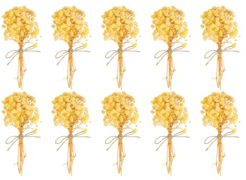 PATIKIL Mini bukett torkade blommor, 10 st naturlig Gypsophila med stjälk dekoration boho blomväxt för hantverk, gör-det-själv, fototillbehör, present bröllopsdekoration, gul