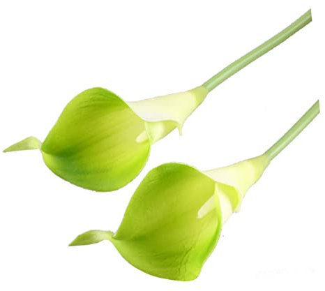 GOOHOCHY Künstliche Calla Lilien 10 Stück Pu Lebensecht 35cm Lang Brautsträuße Hochzeitsdeko Grün
