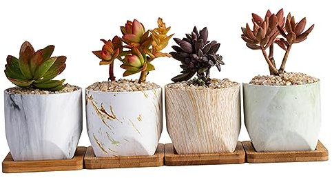 POPETPOP 1 Satz 4st Sukkulententöpfe Aus Keramik Mini-blumenvase Pflanzenterrarium Pflanzgefäß Für Sukkulenten Mini-Terrarium Desktop-Glas Glasbehälter Bambus Haushalt Sukkulente Pflanzen