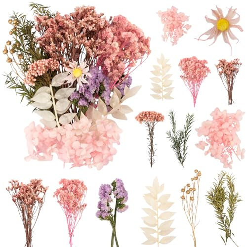 LAUMOE Trockenblumen Klein, Getrocknete Blumen, Mini Trockenblumen Zum Basteln für Kunst Basteln DIY Harz Scrapbooking Handwerk Karten Mache