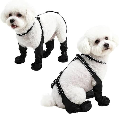BECROWM wasserdichte Hundeschuhe für kleine/mittlere Hunde –Pawenschutz-Hundeschuhe,rutschfeste Winter-Wanderhundeschuhe, reflektierend Nicht abrutschbare,Hundebooties (Schwarz-UK, Klein)