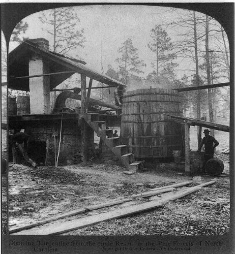 HistoricalFindings Photo: Distilling Turpentine from Crude Resin,Pine Forests,North Carolina,c1903